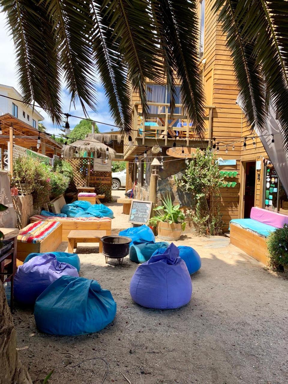 Hostal Maitencillo Norte מראה חיצוני תמונה